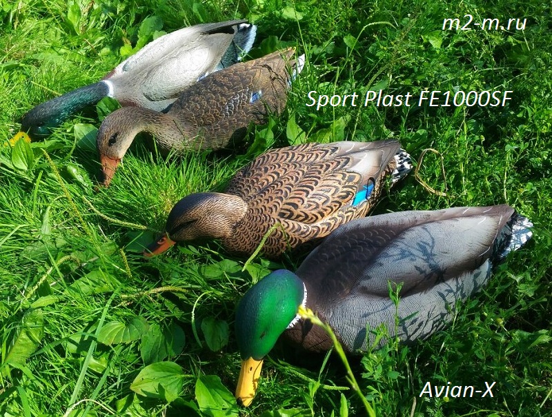Фото чучел Avian-X в сравнении с Sport Plast.